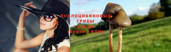 а пвп мука Наволоки