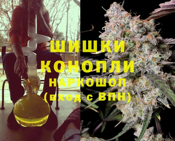 винт Арсеньев