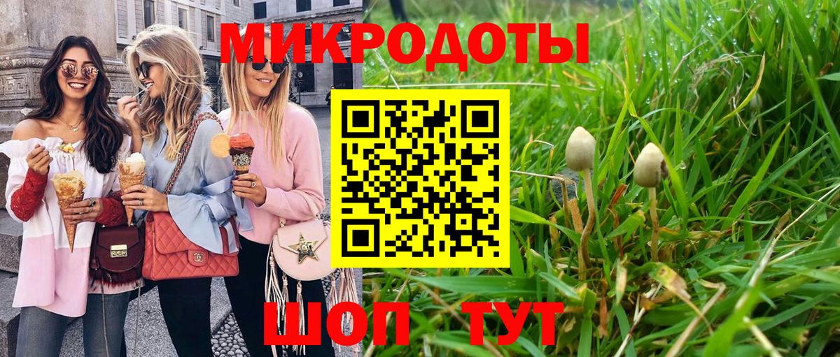 Галлюциногенные грибы прущие грибы Ессентуки
