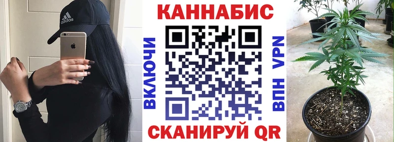 Шишки марихуана VHQ  купить  сайты  Ессентуки 