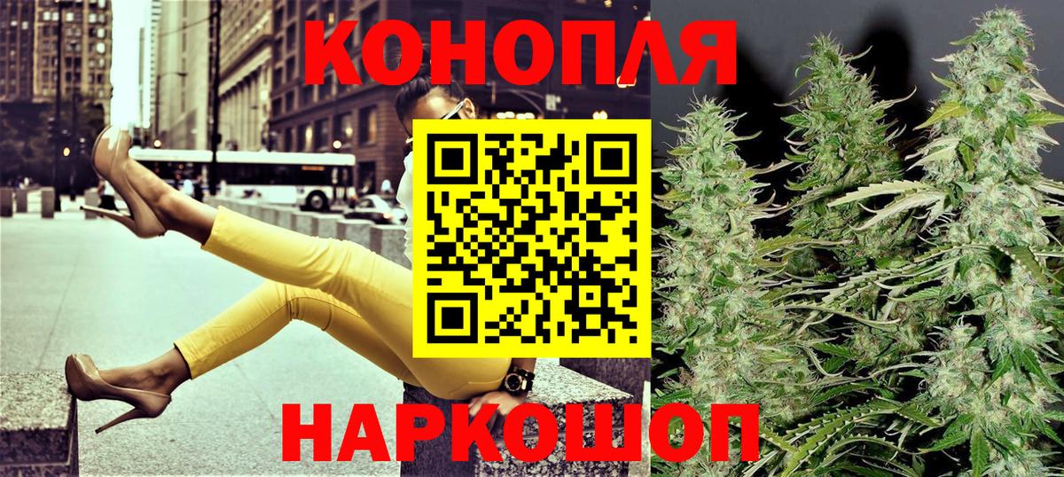 Каннабис семена Ессентуки
